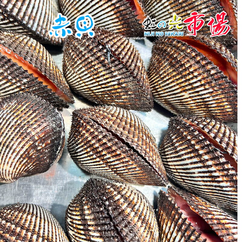 名称 活 赤貝 内容量 1kg (約6~10個) 産地名 中国・韓国産 保存方法 冷蔵 商品詳細 その名の通り、身が赤い貝、赤貝です。 過去には、食用として用いられるだけでなく、殻を粉上にして火傷に塗る薬として用いられていたことが推測されています。 お刺身、寿司ネタ、煮付け、クラムチャウダー、混ぜご飯、バター焼き、酢の物、サラダ、炒め物など、様々なレシピがあります。 関東ではアカガイのぬたは定番料理ともいえそうなもので、酒の肴としても小粋である。基本的にむき身にして足の部分は開いて、さっと軽く洗う。これを寒い時期はねぎ（白ねぎ、わけぎ）、あさつきと、春は山菜などと酢みそで和える。 配送方法 ヤマト運輸のクール便※こちらの商品は冷蔵便での発送となります。 冷凍商品と同梱出来ませんので、ご了承お願い致します。 賞味期限 冷蔵保存で2日以内にお召し上がりください。 ※出荷時点で、必ず生きたものをお送り致しますが、まれに配送過程で冷蔵による凍死などで死んでしまう場合がございますので予めご了承下さい。鮮度に問題はございません。 備　考 ※写真はイメージです。計量致しますので、実際の商品の見た目とは多少異なる場合が御座います。 ※日時指定の場合、天候（時化などによる入荷の遅れ）・配送上の都合により指定された通りにお届けできない場合がありますので、基本は日付指定はお受けできません。ご理解下さい。 上記をご了承頂ける方のみ日付指定をお受け致します。その場合、指定は10日以内でお願い致します。 ※日付指定優先の場合、入荷状況により予告なくメーカーが変更になる場合が御座います。 その場合発送時、メールでご連絡させて頂きます。