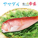 アマダイ 1尾 約1.2kg 鯛 たい 赤尼鯛 赤甘鯛 甘鯛 海水魚