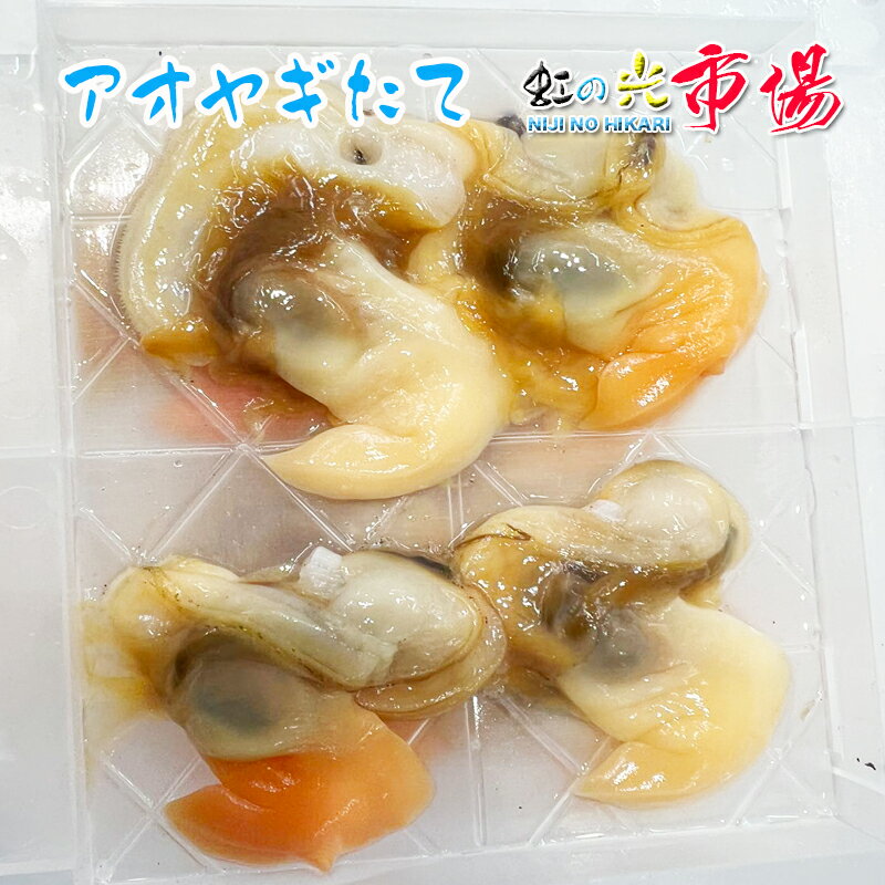 特大 アオヤギたて 5P（1P 4枚）あおやぎ バカガイ 刺身 煮物 汁物