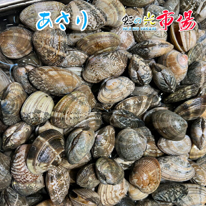 【厳選仕入】活アサリ 1kg あさり 砂抜き 殻付き お味噌汁 バター焼き