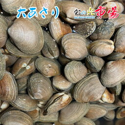 【厳選仕入】活大アサリ 1kg あさり 砂抜き 殻付き お味噌汁 バター焼き