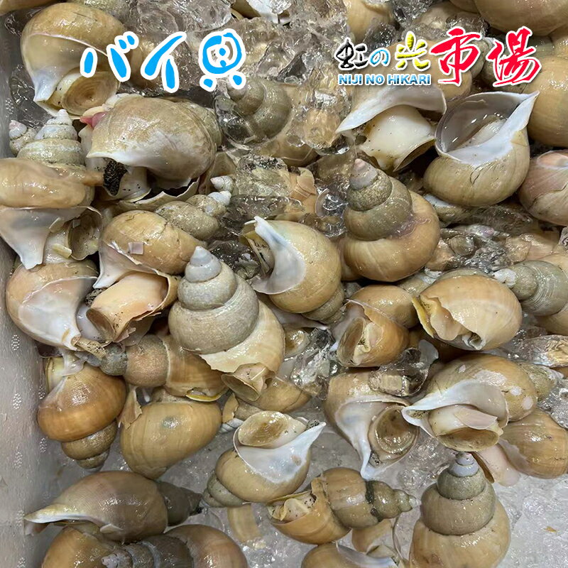 名称 白バイ貝 内容量 1kg 産地名 鳥取県 保存方法 冷蔵 商品詳細 ボイルしたものをわさび醤油でお召し上がり頂くのがオススメです。 他にもバター焼き、煮付け、酒蒸しなど、その他レシピは沢山あります。 ぜひこの機会にお試し頂きたいオススメ商品です！ 配送方法 ヤマト運輸のクール便※こちらの商品は冷蔵便での発送となります。 冷凍商品と同梱出来ませんので、ご了承お願い致します。 賞味期限 冷蔵保存で2日以内にお召し上がりください。 備　考 ※写真はイメージです。計量致しますので、実際の商品の見た目とは多少異なる場合が御座います。 ※日時指定の場合、天候（時化などによる入荷の遅れ）・配送上の都合により指定された通りにお届けできない場合がありますので、基本は日付指定はお受けできません。ご理解下さい。 上記をご了承頂ける方のみ日付指定をお受け致します。その場合、指定は10日以内でお願い致します。 ※日付指定優先の場合、入荷状況により予告なくメーカーが変更になる場合が御座います。 その場合発送時、メールでご連絡させて頂きます。