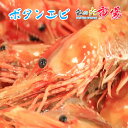 ボタンエビ 5kg えび 海老 ぼたんえび 王様