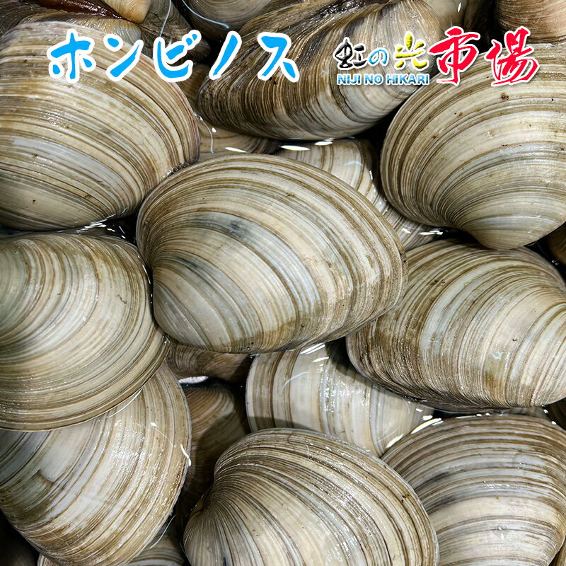 名称：ホンビノス 貝 内容量：約10kg ( 約60～80個 ) 産地名：千葉 養殖・解凍：天然　新鮮 保存方法：冷蔵 ホンビノスは比較的最近日本で流通しはじめた貝で、アサリやハマグリと同じように焼き貝、バター焼き、お吸い物などでおいしく頂けます。 まだ一般家庭になじみが無い事から、大アサリや白ハマグリ等と呼ばれる事もあります。 ※写真はイメージです。計量致しますので、実際の商品の見た目とは多少異なる場合が御座います。 ※こちらの商品は冷蔵便での発送となります。 冷凍商品と同梱出来ませんので、ご了承お願い致します。 ※出荷時点で、必ず生きたものをお送り致しますが、まれに配送過程で冷蔵による凍死などで死んでしまう場合がございますので予めご了承下さい。鮮度に問題はございません。 ※賞味期限は、到着後2日間です。到着後はお早めにお召し上がり下さい。保管方法は「冷蔵保存」でお願い致します。 ※日時指定の場合、天候（時化などによる入荷の遅れ）・配送上の都合により指定された通りにお届けできない場合がありますので、基本は日付指定はお受けできません。ご理解下さい。 上記をご了承頂ける方のみ日付指定をお受け致します。その場合、指定は10日以内でお願い致します。 ※日付指定優先の場合、入荷状況により予告なくメーカーが変更になる場合が御座います。 その場合発送時、メールでご連絡させて頂きます。