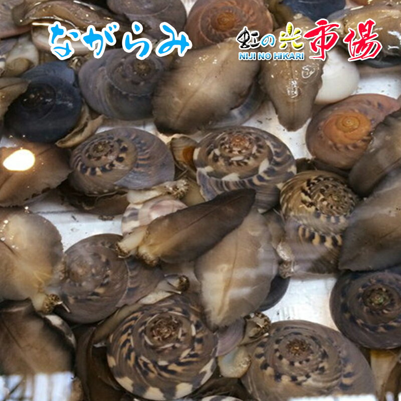 名称：ながらみ　 内容量：500~10kg 産地名：千葉県 養殖・解凍：天然 保存方法：冷蔵 ※御入荷がすくないんため、3日以内発送できないなら、御入荷次第、発送いたします！時間がかかりますので、ご了承ください。 ※写真はイメージです。計量致しますので、実際の商品の見た目とは多少異なる場合が御座います。 ※こちらの商品は冷蔵便での発送となります。 冷凍商品と同梱出来ませんので、ご了承お願い致します。 ※出荷時点で、必ず生きたものをお送り致しますが、まれに配送過程で冷蔵による凍死などで死んでしまう場合がございますので予めご了承下さい。鮮度に問題はございません。 ※賞味期限は、到着後2日間です。到着後はお早めにお召し上がり下さい。保管方法は「冷蔵保存」でお願い致します。 ※日時指定の場合、天候（時化などによる入荷の遅れ）・配送上の都合により指定された通りにお届けできない場合がありますので、基本は日付指定はお受けできません。ご理解下さい。 上記をご了承頂ける方のみ日付指定をお受け致します。その場合、指定は10日以内でお願い致します。 ※日付指定優先の場合、入荷状況により予告なくメーカーが変更になる場合が御座います。 その場合発送時、メールでご連絡させて頂きます。「ダンベイキサゴ」「キサゴ」と呼ばれる巻き貝で、関東ではナガラミと呼ばれます。 ショウガ醤油につけると美味しくお召し上がり頂けます。 中でも千葉県九十九里産のながらみは大変評価の高いことで有名です。 ながらみ大好きの当社のバイヤーが築地に入ってくる様々な産地や仕入先のながらみを食べ比べて、厳選した本当に美味しいながらみです。 塩ゆでで、そのままお召し上がり頂けます。 しっかり砂抜きされたながらみは、肝の部分もクセが強くないので食べやすくなっております。 また煮物や佃煮や酢の物にしても美味しくお召し上がりいただけます。 クセになるこの味、ぜひお試しください。