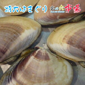 特大 はまぐり 約2kg (約8-13個) ハマグリ バーベキュー バター焼き 貝 水産物 蛤