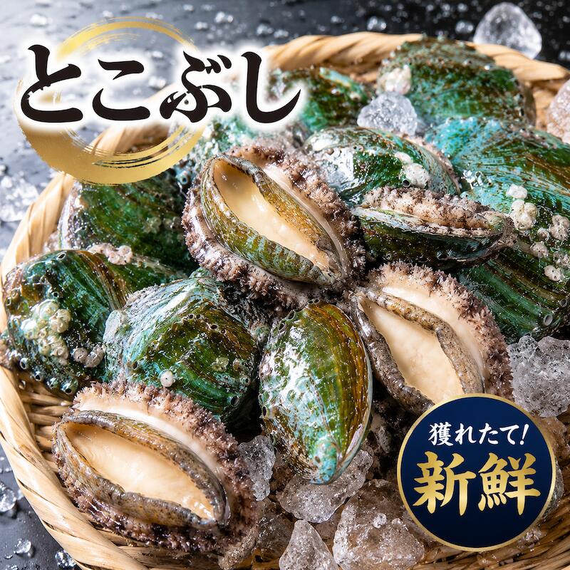 お試しとこぶし300g (1個25-45g) 台湾 季節限定 トコブシ 床伏 あわび 姿煮 煮付け 酒の肴 縁起物 おせち料理 BBQ