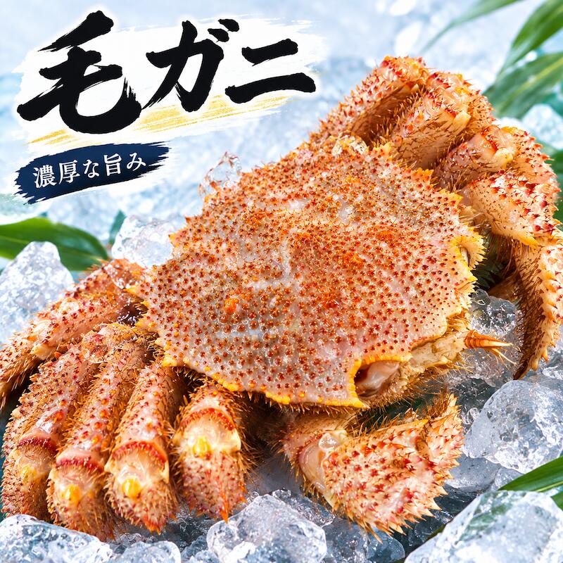 毛ガニ 毛ガニならではの繊細な味わいを、じっくりお楽しみください。 ■ 毛ガニの魅力 毛ガニは、きめ細やかで繊細な蟹身と、濃厚な蟹味噌が魅力の蟹です。 蟹身は上品な甘みと旨みがあり、噛むほどに蟹本来の味わいが広がります。 また、毛ガニを味わううえで欠かせないのが蟹味噌です。 濃厚なコクと豊かな風味があり、蟹身と一緒に味わうことで、より深い味わいをお楽しみいただけます。 ■ 蟹身をお楽しみください 脚や肩部分の蟹身を丁寧にほぐして、そのままお召し上がりいただくのがおすすめです。 毛ガニ本来の甘みと旨みをシンプルに味わうことで、素材のおいしさをじっくりとお楽しみいただけます。 ■ 濃厚な蟹味噌 毛ガニの楽しみのひとつが、濃厚な蟹味噌。 蟹味噌をそのまま味わうのはもちろん、ほぐした蟹身と合わせていただくのもおすすめです。 蟹身の上品な甘みと蟹味噌の濃厚なコクが合わさり、毛ガニならではの贅沢な味わいをお楽しみいただけます。 ■ おすすめの食べ方 そのまま味わうだけでなく、ほぐした蟹身を甲羅に盛り付けたり、蟹味噌と合わせたりと、さまざまな楽しみ方があります。 お好みでレモンやポン酢などを添えて、さっぱりと味わうのもおすすめです。 ■ ご家庭で楽しむ毛ガニ 家族で囲む食卓に、特別な日のごちそうに。 毛ガニは、普段の食卓を少し贅沢に演出したいときにもおすすめです。 海鮮がお好きな方への贈り物や、お祝いの席など、さまざまなシーンでお楽しみいただけます。 ■ 毛ガニをお楽しみいただくために 毛ガニは、蟹身だけでなく蟹味噌まで楽しめるのが魅力です。 脚、肩、胴体など、それぞれの部位の味わいを楽しみながら、最後まで毛ガニのおいしさをご堪能ください。 毛ガニならではの繊細な蟹身と濃厚な蟹味噌。 海の恵みを、ぜひご家庭でお楽しみください。