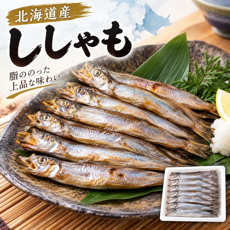 ししゃも 北海道 300g シシャモ 柳葉魚 肉厚 脂が乗り 生ししゃも 天ぷら 生ししゃも丼 焼き