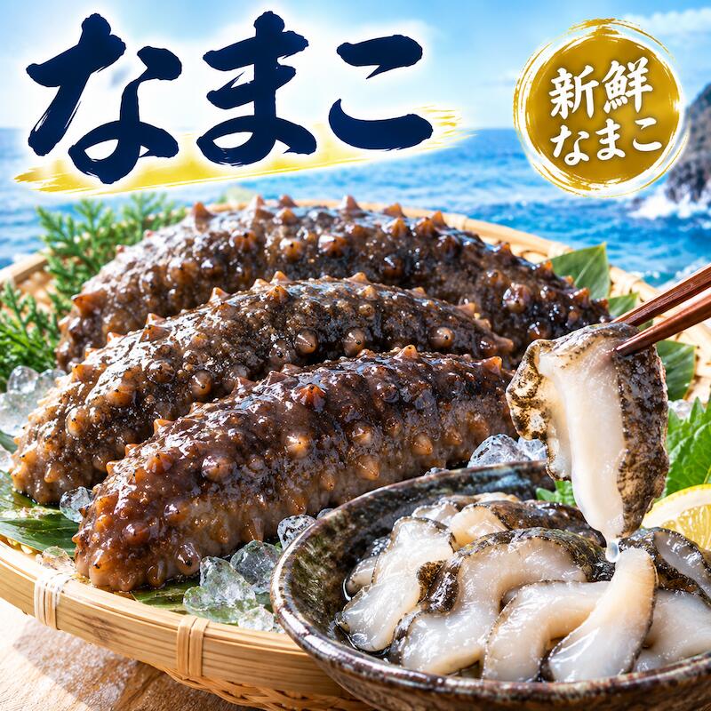 楽天市場】大きい（ナマコ｜その他水産物）：魚介類・水産加工品<食品