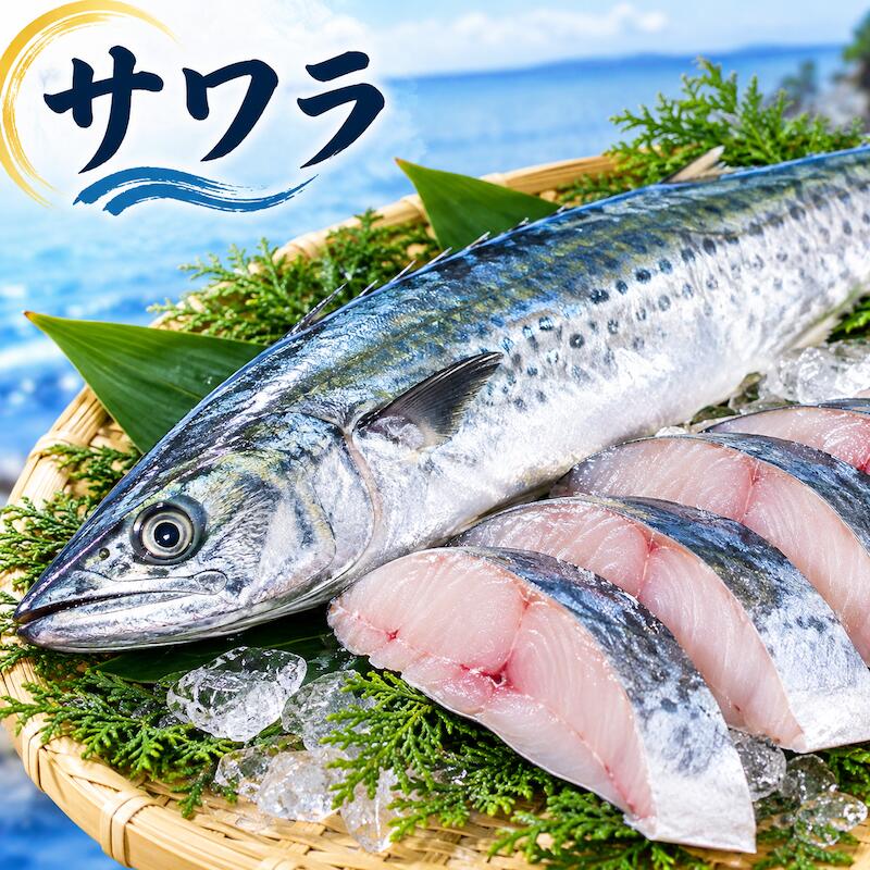 名称 サワラ 内容量 1尾 約2.5~3kg 産地名 福井県、石川県、京都府、長崎県、島根県 商品詳細 旬／周年。旬と言える区切られる期間はなくなっている。国内各地から年間を通して非常に味のいい固体がやってくる。サワラは季語とはならなくなった。 鱗は小さく簡単にとれる。 サゴチ（小型魚）はあまり脂はのっていないが、年間を通して安定しており、種々の総菜などに利用出来る。 鮮度のいいときは透明感のある白身だが、すぐに白濁する。味わいは淡白でいながら、ほろっとした甘みがあり、クセのないもの。刺身は鮮度がよく脂がのっているものがよい。生で食べると上品で、嫌みのない味わい。皮目をあぶると旨みが重圧になる。 白子、真子、はらわた（胃、心臓、肝など）も美味。 料理法を選ばない素材となる。 ぜひこの機会にお試し頂きたいオススメ商品です！ 配送方法 ヤマト運輸のクール便※こちらの商品は冷蔵便での発送となります。 冷凍商品と同梱出来ませんので、ご了承お願い致します。 賞味期限 冷蔵保存で2日以内にお召し上がりください。 備　考 ※写真はイメージです。計量致しますので、実際の商品の見た目とは多少異なる場合が御座います。 ※日時指定の場合、天候（時化などによる入荷の遅れ）・配送上の都合により指定された通りにお届けできない場合がありますので、基本は日付指定はお受けできません。ご理解下さい。 上記をご了承頂ける方のみ日付指定をお受け致します。その場合、指定は10日以内でお願い致します。 ※日付指定優先の場合、入荷状況により予告なくメーカーが変更になる場合が御座います。 その場合発送時、メールでご連絡させて頂きます。