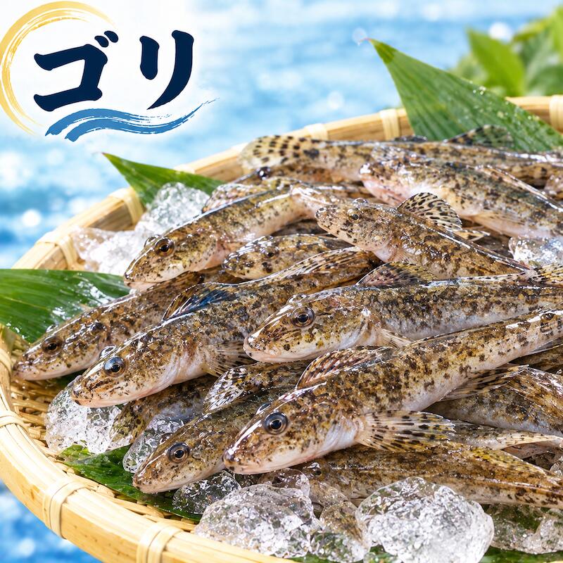 名称 生ゴリ 内容量 1kg 産地名 本州、四国、九州 商品詳細 ハゼ科の小魚で、地域によって呼び方が変わります。 唐揚げや天ぷら、佃煮やお味噌汁にしておいしいお魚です。 実はごり押しの起源とも言われています。 ゴリは、吸盤状の腹ビレで川底にへばりつくように生息するため、漁の際には網が川底を削るよう、力を込めて引く必要がある。 この漁法が、「抵抗があるところを強引に推し進める」という意味の「ごり押し」の語源となっているという説があります。 ぜひこの機会にお試し頂きたいオススメ商品です。 配送方法 ヤマト運輸のクール便※こちらの商品は冷蔵便での発送となります。 冷凍商品と同梱出来ませんので、ご了承お願い致します。 賞味期限 冷蔵保存で2日以内にお召し上がりください。 備　考 ※写真はイメージです。計量致しますので、実際の商品の見た目とは多少異なる場合が御座います。 ※日時指定の場合、天候（時化などによる入荷の遅れ）・配送上の都合により指定された通りにお届けできない場合がありますので、基本は日付指定はお受けできません。ご理解下さい。 上記をご了承頂ける方のみ日付指定をお受け致します。その場合、指定は10日以内でお願い致します。 ※日付指定優先の場合、入荷状況により予告なくメーカーが変更になる場合が御座います。 その場合発送時、メールでご連絡させて頂きます。