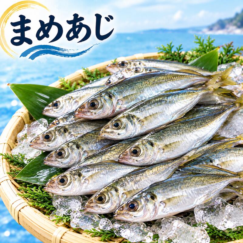 千葉産 まめあじ 1箱約1.5〜2kg （1尾 10~15センチ） 豆アジ まめあじ マメアジ 小アジ 小鯵 鮮魚 唐揚げ 南蛮漬け 塩焼き おつまみ 魚介類 海鮮 　2箱