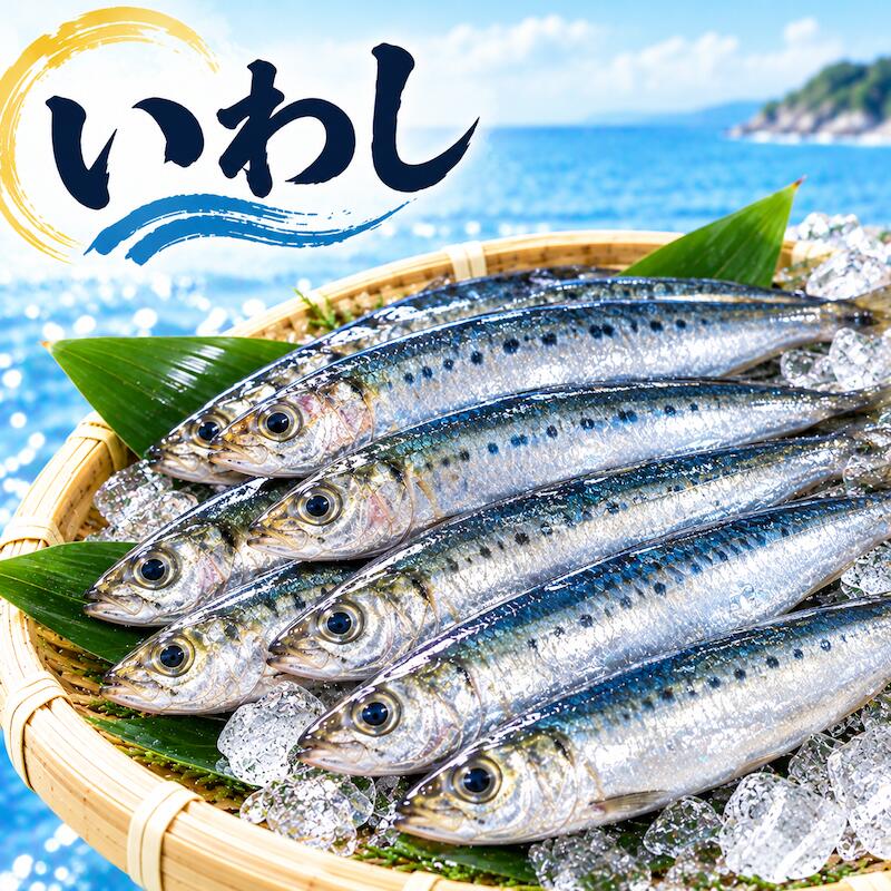 名称：真いわし 内容量： 5kg（1尾約80~120g) 産地名：北海道、千葉県、大阪府、兵庫県 保存方法：冷蔵 良質のたんぱく質・鉄分・各種ビタミン、さらに今話題のDHA・EPAもたっぷり含まれており、成人病の予防等に効果を発揮します。 団子汁やスパイス焼き、塩焼き等様々な調理方法でお楽しみください。 ぜひこの機会にお試し頂きたいオススメ商品です！ ※写真はイメージです。計量致しますので、実際の商品の見た目とは多少異なる場合が御座います。 ※こちらの商品は冷蔵便での発送となります。 冷凍商品と同梱出来ませんので、ご了承お願い致します。 ※賞味期限は、到着後2日間です。到着後はお早めにお召し上がり下さい。保管方法は「冷蔵保存」でお願い致します。 ※日時指定の場合、天候（時化などによる入荷の遅れ）・配送上の都合により指定された通りにお届けできない場合がありますので、基本は日付指定はお受けできません。ご理解下さい。 上記をご了承頂ける方のみ日付指定をお受け致します。その場合、指定は10日以内でお願い致します。 ※日付指定優先の場合、入荷状況により予告なくメーカーが変更になる場合が御座います。 その場合発送時、メールでご連絡させて頂きます。