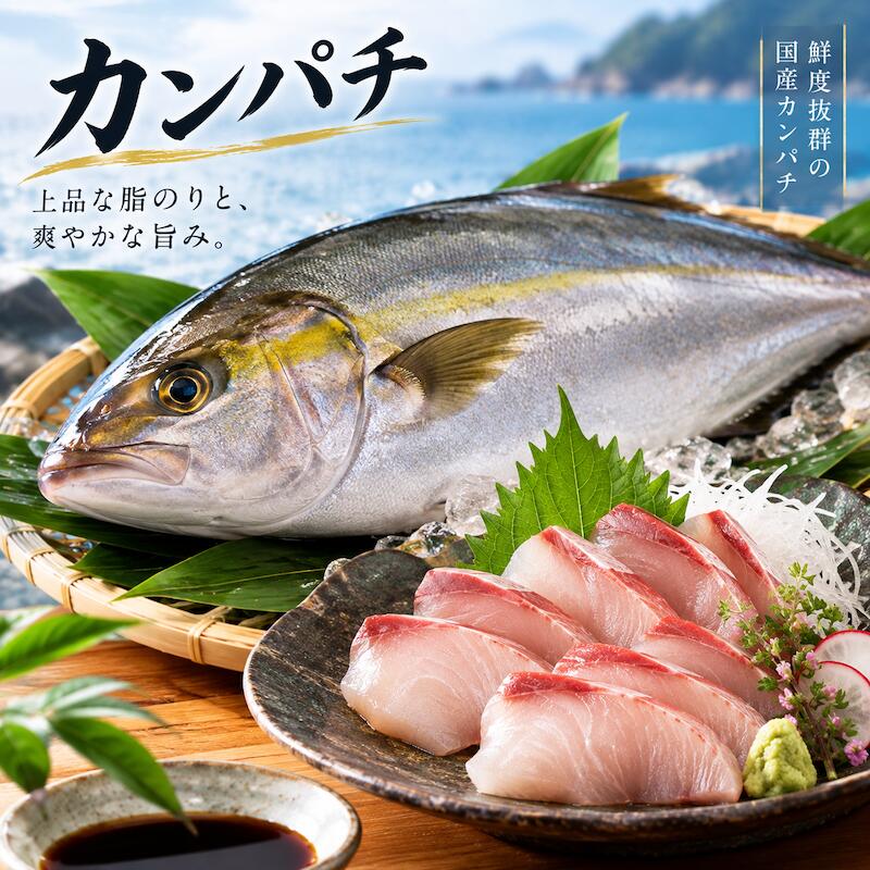 名称 カンパチ 内容量 1尾 2~3kg 産地名 鹿児島県 保存方法 冷蔵 商品詳細 焼き物や煮物、フライ、照り焼きなどに最適です。 また、カンパチをお皿に並べ、その上に醤油・レモン汁・オリーブオイル・塩コショウなどをかければカルパッチョの出来上がり！ お好みでトマトやパプリカなどを飾ったり、マヨネーズをかけても美味しく頂けます。 。 ぜひこの機会にお試し頂きたいオススメ商品です！ 配送方法 ヤマト運輸のクール便※こちらの商品は冷蔵便での発送となります。 冷凍商品と同梱出来ませんので、ご了承お願い致します。 賞味期限 冷蔵保存で2日以内にお召し上がりください。 備　考 ※写真はイメージです。計量致しますので、実際の商品の見た目とは多少異なる場合が御座います。 ※日時指定の場合、天候（時化などによる入荷の遅れ）・配送上の都合により指定された通りにお届けできない場合がありますので、基本は日付指定はお受けできません。ご理解下さい。 上記をご了承頂ける方のみ日付指定をお受け致します。その場合、指定は10日以内でお願い致します。 ※日付指定優先の場合、入荷状況により予告なくメーカーが変更になる場合が御座います。 その場合発送時、メールでご連絡させて頂きます。