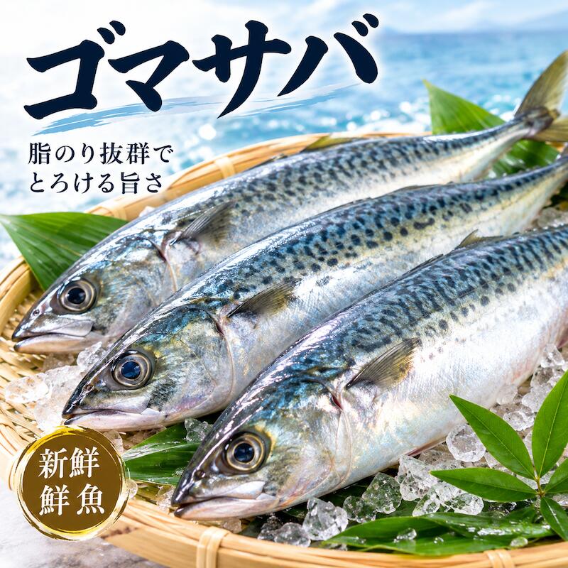名称 ゴマサバ 内容量 5kg（1尾約700〜800 g ） 産地名 静岡県 保存方法 冷蔵 商品詳細 三枚卸した後、ふり塩をして身を引き締めます。 約20分から60分して一度水洗いをします。 みつかん酢をボールにはり、約60分から120分つけ込みます。 仕上がりはリードペーパーなどで拭き、冷凍庫で保存します。 仕上がりました。 塩焼、味噌煮、〆サバ、からあげ、天ぷら 今が旬です！！ ぜひこの機会にお試し頂きたいオススメ商品です！ 配送方法 ヤマト運輸のクール便※こちらの商品は冷蔵便での発送となります。 冷凍商品と同梱出来ませんので、ご了承お願い致します。 賞味期限 冷蔵保存で2日以内にお召し上がりください。 備　考 ※写真はイメージです。計量致しますので、実際の商品の見た目とは多少異なる場合が御座います。 ※日時指定の場合、天候（時化などによる入荷の遅れ）・配送上の都合により指定された通りにお届けできない場合がありますので、基本は日付指定はお受けできません。ご理解下さい。 上記をご了承頂ける方のみ日付指定をお受け致します。その場合、指定は10日以内でお願い致します。 ※日付指定優先の場合、入荷状況により予告なくメーカーが変更になる場合が御座います。 その場合発送時、メールでご連絡させて頂きます。
