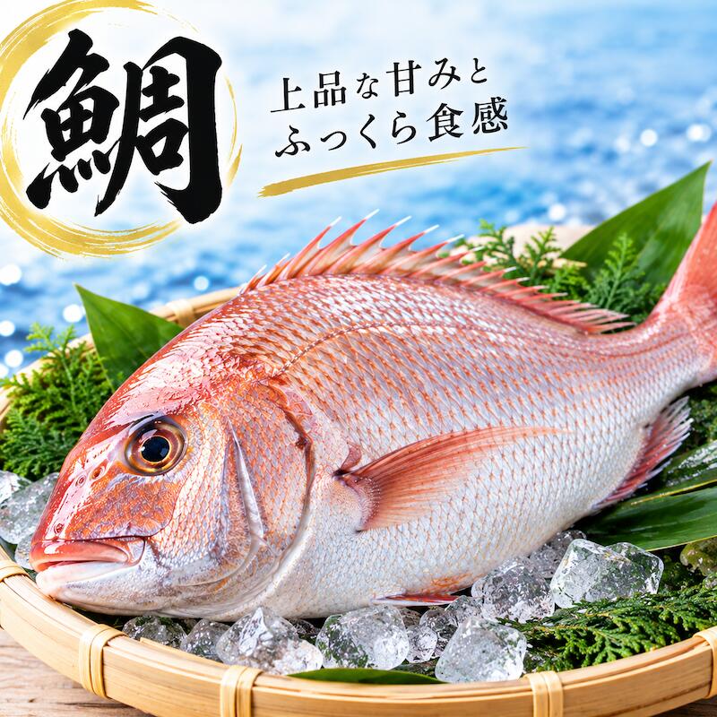 名称 真鯛 マダイ 内容量 約2kg 産地名 長崎県、福岡県、愛媛県、山口県、兵庫県 商品詳細 祝いの席といえば鯛。 天然のと違い脂がのってて美味しい真鯛です！ そのままお刺身でお召し上がり頂けます。 またカルパッチョや鯛飯、塩焼き等にもピッタリです。 ぜひこの機会にお試し頂きたいオススメ商品です！ 配送方法 ヤマト運輸のクール便※こちらの商品は冷蔵便での発送となります。 冷凍商品と同梱出来ませんので、ご了承お願い致します。 賞味期限 冷蔵保存で2日以内にお召し上がりください。 備　考 ※写真はイメージです。計量致しますので、実際の商品の見た目とは多少異なる場合が御座います。 ※日時指定の場合、天候（時化などによる入荷の遅れ）・配送上の都合により指定された通りにお届けできない場合がありますので、基本は日付指定はお受けできません。ご理解下さい。 上記をご了承頂ける方のみ日付指定をお受け致します。その場合、指定は10日以内でお願い致します。 ※日付指定優先の場合、入荷状況により予告なくメーカーが変更になる場合が御座います。 その場合発送時、メールでご連絡させて頂きます。