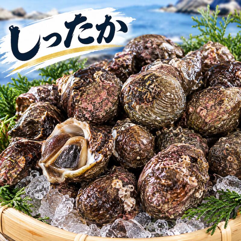 名称 しったか貝 内容量 5kg 産地名 愛媛県・他の県 商品詳細 近年テレビでの紹介が増えてきた巻き貝です。 入荷が無くなり次第、終了となります。 ご了承の上、ご購入お願い致します。 醤油煮にして食べると美味しいです。 少し苦味があり、アミノ酸が程よく利いています。 ぜひこの機会にお試し頂きたいオススメ商品です。 配送方法 ヤマト運輸のクール便※こちらの商品は冷蔵便での発送となります。 冷凍商品と同梱出来ませんので、ご了承お願い致します。 賞味期限 冷蔵保存で2日以内にお召し上がりください。 ※出荷時点で、必ず生きたものをお送り致しますが、まれに配送過程で冷蔵による凍死などで死んでしまう場合がございますので予めご了承下さい。鮮度に問題はございません。 備　考 ※写真はイメージです。計量致しますので、実際の商品の見た目とは多少異なる場合が御座います。 ※日時指定の場合、天候（時化などによる入荷の遅れ）・配送上の都合により指定された通りにお届けできない場合がありますので、基本は日付指定はお受けできません。ご理解下さい。 上記をご了承頂ける方のみ日付指定をお受け致します。その場合、指定は10日以内でお願い致します。 ※日付指定優先の場合、入荷状況により予告なくメーカーが変更になる場合が御座います。 その場合発送時、メールでご連絡させて頂きます。