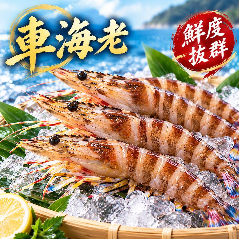 活クルマエビ 1kg （約30匹入）海老 高級食材 エビの王様 プリップリの食感 えび お刺身 塩焼き 天ぷら お歳暮 お中元 お正月 お祝い膳 BBQ キャンプ 父の日 母の日 敬老の日