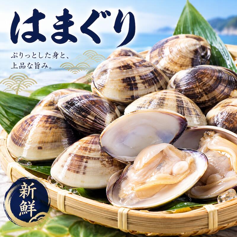 業務用 地はまぐり 約3kg 小又は中サイズ はまぐり 蛤 ハマグリ はまぐり貝 貝 ハマグリ貝 二枚貝 貝類 魚介類 海鮮 お吸い物 酒蒸し 焼きはまぐり はまぐり鍋 ひな祭り 桃の節句 お祝い料理 お食い初め 祝い膳 和食 料理素材 貝料理