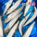 業務用 真いわし 5kg（1尾約80~120g） 太平洋産 鰯 イワシ