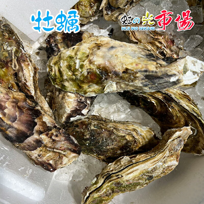 カキ 殻付かき 10粒 牡蠣 旬の食材 海のミルク 完全栄養食品