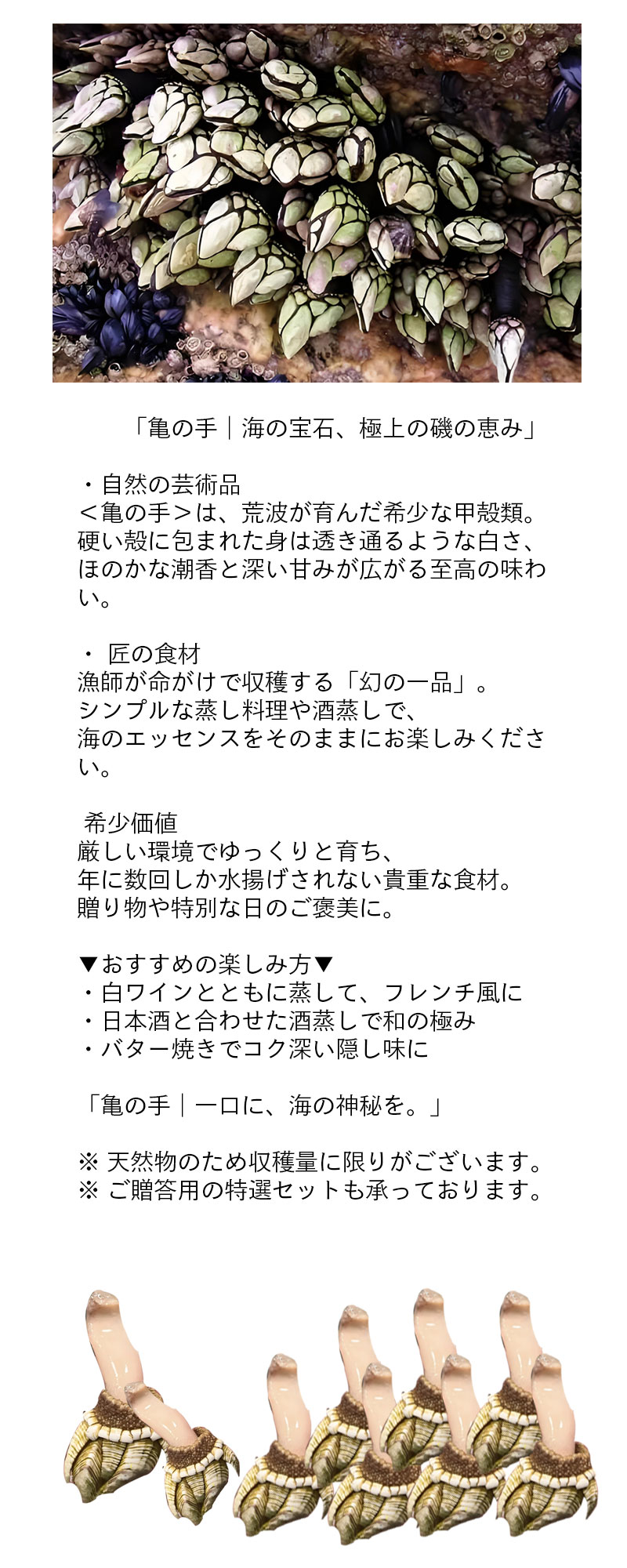 �� ���μ� ����Υ� 500g ���� �����ܻ� ���Ƥ� ����� ̣��������ʪ ���� �����ܻ� ���Υ�������� ������ �⥿��ѥ�