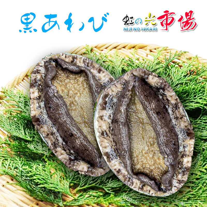 国産 特大 天然 活 黒アワビ 1kg（1個