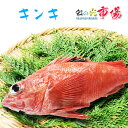 3-4人前 新鮮 キンキ 1kg(2-4尾入り)北海道産 きんき きちぎ 高級魚