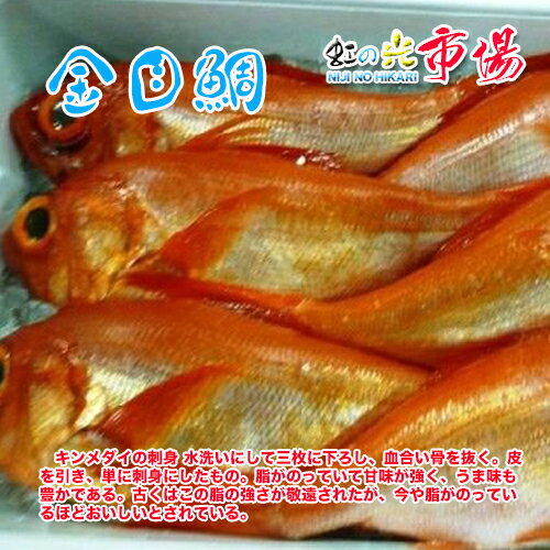 金目鯛 大 1尾 約2kg 千葉・神奈川県産