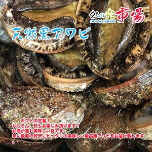 国産 特大 天然 活 黒アワビ 1個約300~350g アワビ あわび バーベキュー 貝