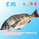 業務用 黒鯛 3尾(約2~3kg)鯛 タイ たい 鮮魚 刺身