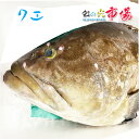 クエ (アラ) 1尾 約10kg くえ あら 高級魚 海水魚 超高級魚 幻の魚