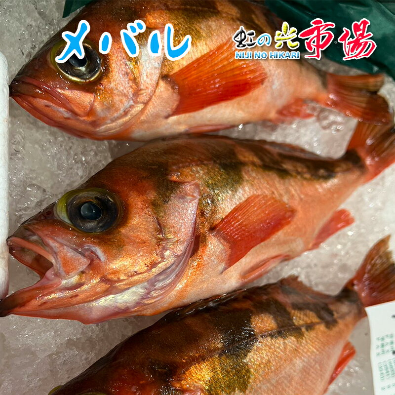 名称 アカメバル 赤目張 内容量 1kg　3~5尾 産地名 千葉県 商品詳細 目が澄んでいる。エラが鮮紅色。体に光沢がある。 たんぱく質、ビタミンE(老化防止、動脈硬化予防)、カルシウム。 煮付け、塩焼き、唐揚げ、刺身。 鮮度の良いものほど、皮がはがれやすいので強火で煮すぎないように。 ぜひこの機会にお試し頂きたいオススメ商品です！ 配送方法 ヤマト運輸のクール便※こちらの商品は冷蔵便での発送となります。 冷凍商品と同梱出来ませんので、ご了承お願い致します。 賞味期限 冷蔵保存で2日以内にお召し上がりください。 備　考 ※写真はイメージです。計量致しますので、実際の商品の見た目とは多少異なる場合が御座います。 ※日時指定の場合、天候（時化などによる入荷の遅れ）・配送上の都合により指定された通りにお届けできない場合がありますので、基本は日付指定はお受けできません。ご理解下さい。 上記をご了承頂ける方のみ日付指定をお受け致します。その場合、指定は10日以内でお願い致します。 ※日付指定優先の場合、入荷状況により予告なくメーカーが変更になる場合が御座います。 その場合発送時、メールでご連絡させて頂きます。