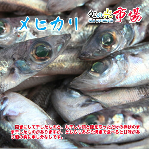 めひかり メヒカリ 旬の味 2kg（1尾 約30g前後 10~15cm） 目ひかり 高級魚