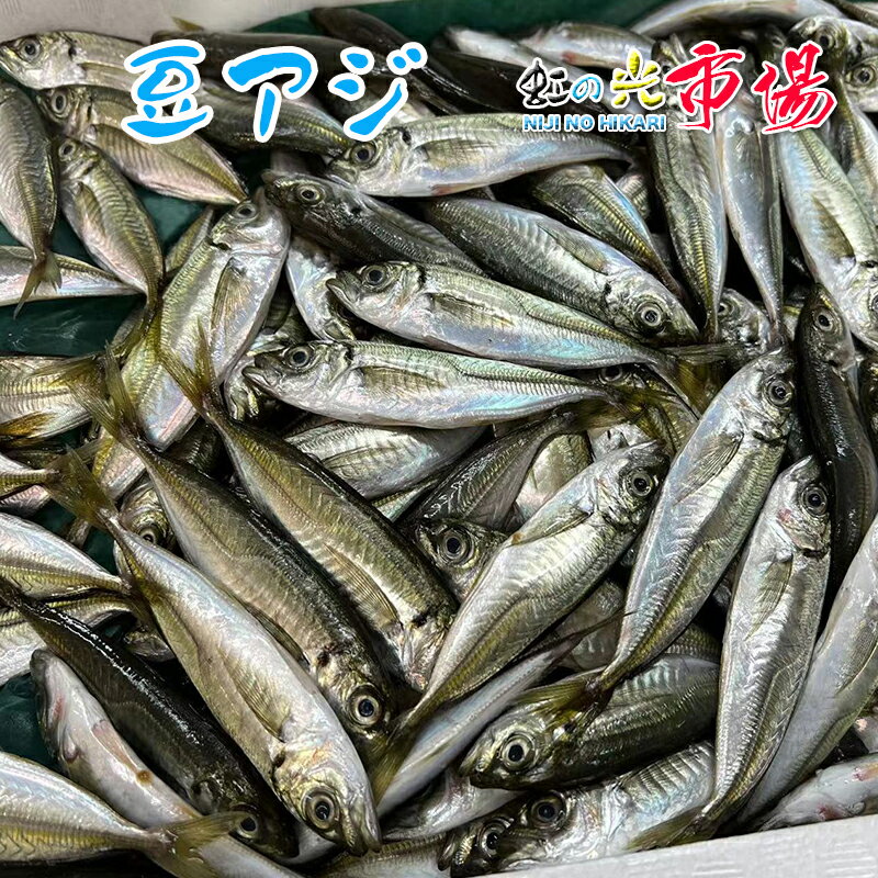 名称：豆アジ 内容量：約2kg前後（1尾 約25～40g前後） 産地名：千葉県産 保存方法：冷蔵 唐揚げ料理がオススメです。 新鮮なので、お刺身でも美味しく頂けます。 他には、なんと言っても千葉の郷土料理「なめろう」などもオススメです。 ぜひこの機会にお試し頂きたいオススメ商品です！ ※写真はイメージです。計量致しますので、実際の商品の見た目とは多少異なる場合が御座います。 ※こちらの商品は冷蔵便での発送となります。 冷凍商品と同梱出来ませんので、ご了承お願い致します。 ※賞味期限は、到着後2日間です。到着後はお早めにお召し上がり下さい。保管方法は「冷蔵保存」でお願い致します。 ※日時指定の場合、天候（時化などによる入荷の遅れ）・配送上の都合により指定された通りにお届けできない場合がありますので、基本は日付指定はお受けできません。ご理解下さい。 上記をご了承頂ける方のみ日付指定をお受け致します。その場合、指定は10日以内でお願い致します。 ※日付指定優先の場合、入荷状況により予告なくメーカーが変更になる場合が御座います。 その場合発送時、メールでご連絡させて頂きます。