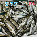 名称：豆アジ 内容量：約8kg前後（1尾 約25～40g前後） 産地名：千葉県産 保存方法：冷蔵 唐揚げ料理がオススメです。 新鮮なので、お刺身でも美味しく頂けます。 他には、なんと言っても千葉の郷土料理「なめろう」などもオススメです。 ぜひこの機会にお試し頂きたいオススメ商品です！ ※写真はイメージです。計量致しますので、実際の商品の見た目とは多少異なる場合が御座います。 ※こちらの商品は冷蔵便での発送となります。 冷凍商品と同梱出来ませんので、ご了承お願い致します。 ※賞味期限は、到着後2日間です。到着後はお早めにお召し上がり下さい。保管方法は「冷蔵保存」でお願い致します。 ※日時指定の場合、天候（時化などによる入荷の遅れ）・配送上の都合により指定された通りにお届けできない場合がありますので、基本は日付指定はお受けできません。ご理解下さい。 上記をご了承頂ける方のみ日付指定をお受け致します。その場合、指定は10日以内でお願い致します。 ※日付指定優先の場合、入荷状況により予告なくメーカーが変更になる場合が御座います。 その場合発送時、メールでご連絡させて頂きます。