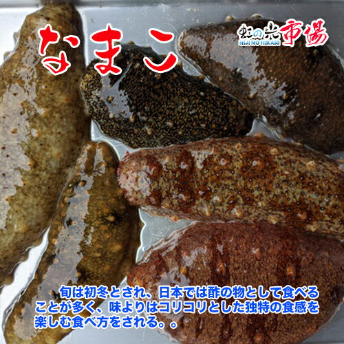 生なまこ　1kg　石川産