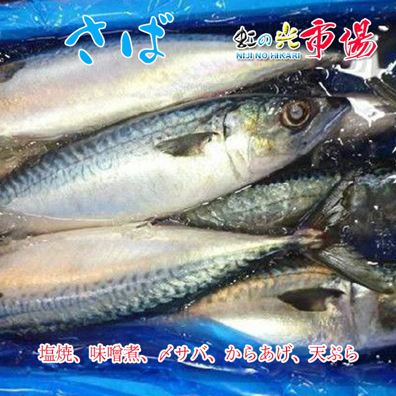 特大 真サバ 神奈川・富山産 一尾700〜800 g 鯖 さば