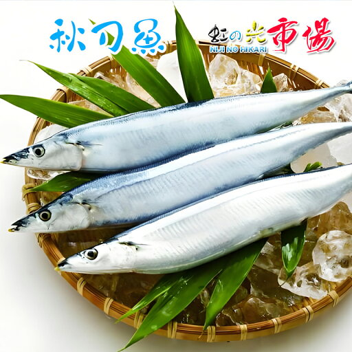冷凍サンマ さんま 10尾 (1尾約100~150g) 秋刀魚 北海道 塩焼き 蒲焼き 唐揚げ 天ぷら 冷凍サンマ さんま 10尾 (1尾約100~150g) 秋刀魚 北海道 塩焼き 蒲焼き 唐揚げ 天ぷら