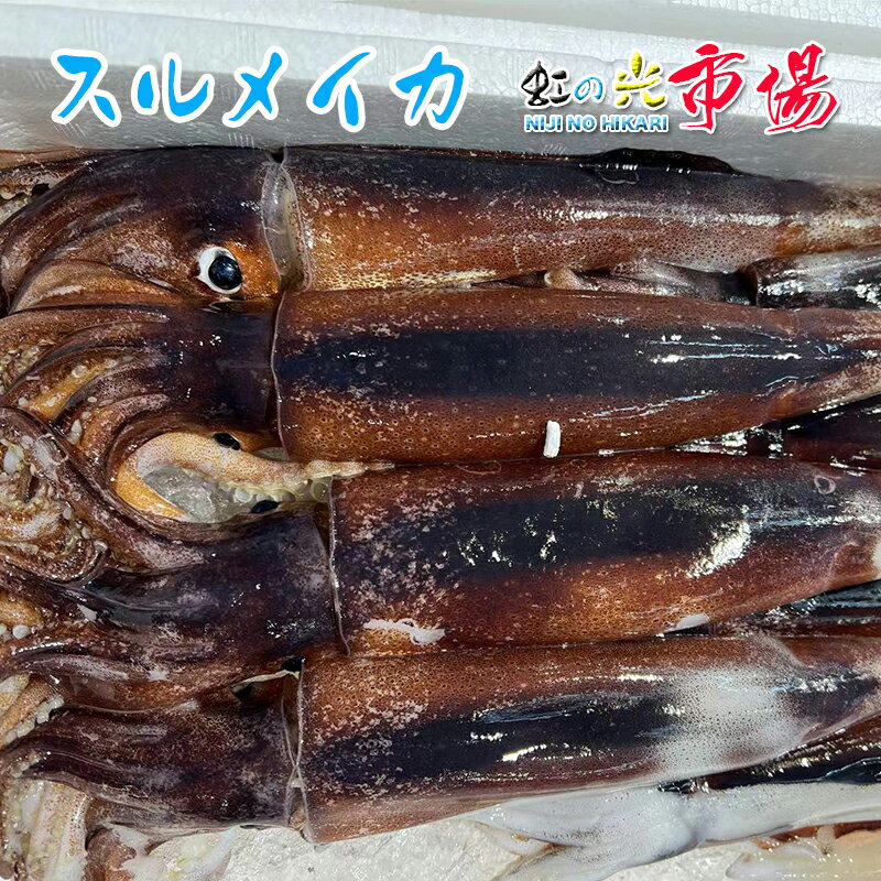 名称 スルメイカ　 内容量 5kg (1kg 2〜3尾) 産地名 北海道・青森県 保存方法 冷蔵 商品詳細 スルメイカはその甘く淡白な味から煮物、照り焼き、天ぷら、イカそうめん等で美味しくお召し上がり頂けます。 また、身だけではなく、イカスミも大変人気があり、炒め物やパスタ等に重宝されます。 配送方法 ヤマト運輸のクール便※こちらの商品は冷蔵便での発送となります。 冷凍商品と同梱出来ませんので、ご了承お願い致します。 賞味期限 冷蔵保存で2日以内にお召し上がりください。 備　考 ※写真はイメージです。計量致しますので、実際の商品の見た目とは多少異なる場合が御座います。 ※日時指定の場合、天候（時化などによる入荷の遅れ）・配送上の都合により指定された通りにお届けできない場合がありますので、基本は日付指定はお受けできません。ご理解下さい。 上記をご了承頂ける方のみ日付指定をお受け致します。その場合、指定は10日以内でお願い致します。 ※日付指定優先の場合、入荷状況により予告なくメーカーが変更になる場合が御座います。 その場合発送時、メールでご連絡させて頂きます。