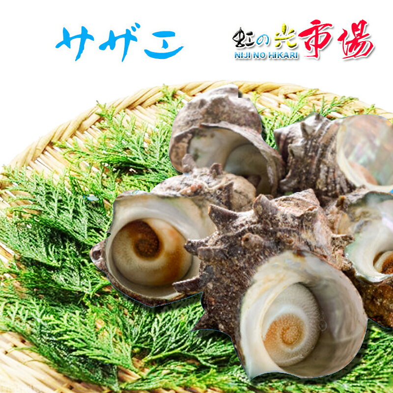 名称：活サザエ 内容量：約1kg (1個約100～130gサイズ) 産地名：千葉県・新潟県産 （天然） 保存方法：冷蔵 サザエの刺身、つぼ焼き、串焼き、蒸し焼き、サザエのにぎり、煮物などその他レシピ沢山あります。 ぜひこの機会にお試し頂きたいオススメ商品です！ ※写真はイメージです。計量致しますので、実際の商品の見た目とは多少異なる場合が御座います。 ※こちらの商品は冷蔵便での発送となります。 冷凍商品と同梱出来ませんので、ご了承お願い致します。 ※出荷時点で、必ず生きたものをお送り致しますが、まれに配送過程で冷蔵による凍死などで死んでしまう場合がございますので予めご了承下さい。鮮度に問題はございません。 ※賞味期限は、到着後2日間です。到着後はお早めにお召し上がり下さい。保管方法は「冷蔵保存」でお願い致します。 ※日時指定の場合、天候（時化などによる入荷の遅れ）・配送上の都合により指定された通りにお届けできない場合がありますので、基本は日付指定はお受けできません。ご理解下さい。 上記をご了承頂ける方のみ日付指定をお受け致します。その場合、指定は10日以内でお願い致します。 ※日付指定優先の場合、入荷状況により予告なくメーカーが変更になる場合が御座います。 その場合発送時、メールでご連絡させて頂きます。