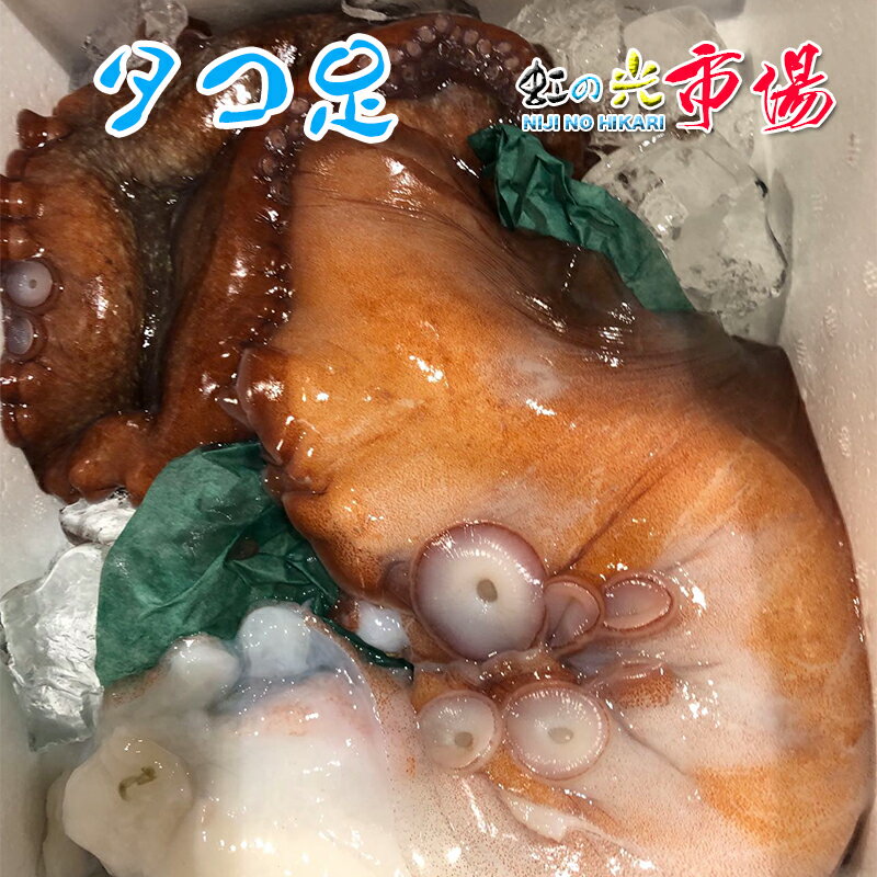 デカ生タコ足 1本 約900〜1.2kg 岩手県産 タコ たこ 蛸