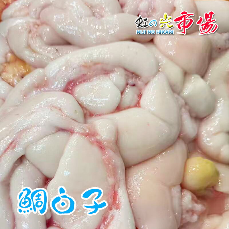 Salted Salmon Roe - 静岡県 鯛の白子 たいのしらこ 真鯛のしらこ 希少 白子ポン酢 塩焼き 天ぷら クリーム煮 500g