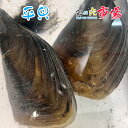 名称 活 平貝 内容量 10枚 産地名 愛知県、岡山県、香川県 保存方法 冷蔵 商品詳細 平貝やタイラギと呼ばれる貝です。 あまり知られていませんが、アワビやサザエと並ぶ、高級貝のひとつです。 高級料亭や高級寿司屋で良く扱われる高級貝です。 生は柔らかくてプリッとした食感。クセになる甘みがあり独特な旨みがあります。 火を通すと歯ごたえと旨みが増すのが特徴な貝です。 お刺身・天ぷら・煮つけ・バター焼き・酒蒸しなど、大変美味しく頂けます。 表面を炙ると旨み、甘みが増します！ 端物は貝殻のまま、焼き網に載せて直火焼きして、味噌ダレを入れて焦がすと美味しく頂けます。 高たんぱく・低脂肪の典型的な海の食材で、たんぱく質の多さが貝類の中でもトップと言われております。 配送方法 ヤマト運輸のクール便※こちらの商品は冷蔵便での発送となります。 冷凍商品と同梱出来ませんので、ご了承お願い致します。 賞味期限 冷蔵保存で2日以内にお召し上がりください。 ※出荷時点で、必ず生きたものをお送り致しますが、まれに配送過程で冷蔵による凍死などで死んでしまう場合がございますので予めご了承下さい。鮮度に問題はございません。 備　考 ※写真はイメージです。計量致しますので、実際の商品の見た目とは多少異なる場合が御座います。 ※日時指定の場合、天候（時化などによる入荷の遅れ）・配送上の都合により指定された通りにお届けできない場合がありますので、基本は日付指定はお受けできません。ご理解下さい。 上記をご了承頂ける方のみ日付指定をお受け致します。その場合、指定は10日以内でお願い致します。 ※日付指定優先の場合、入荷状況により予告なくメーカーが変更になる場合が御座います。 その場合発送時、メールでご連絡させて頂きます。