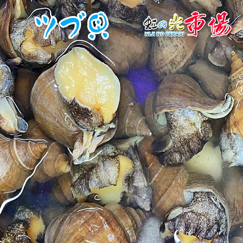 名称：活磯ツブ貝 内容量：約1kg 産地名：青森県・北海道産 （天然） 保存方法：冷蔵 お皿に貝を並べ、オリーブオイル・おろしにんにく・塩コショウ・コンソメを混ぜたものを入れ、オーブンで20-30分焼いたら、ツブ貝のガーリック焼きの出来上がり！ その他、醤油焼き、和え物、煮物などでも美味しくお召し上がり頂けます。 ぜひこの機会にお試し頂きたいオススメ商品です！ ※写真はイメージです。計量致しますので、実際の商品の見た目とは多少異なる場合が御座います。 ※こちらの商品は冷蔵便での発送となります。 冷凍商品と同梱出来ませんので、ご了承お願い致します。 ※出荷時点で、必ず生きたものをお送り致しますが、まれに配送過程で冷蔵による凍死などで死んでしまう場合がございますので予めご了承下さい。鮮度に問題はございません。 ※賞味期限は、到着後2日間です。到着後はお早めにお召し上がり下さい。保管方法は「冷蔵保存」でお願い致します。 ※日時指定の場合、天候（時化などによる入荷の遅れ）・配送上の都合により指定された通りにお届けできない場合がありますので、基本は日付指定はお受けできません。ご理解下さい。 上記をご了承頂ける方のみ日付指定をお受け致します。その場合、指定は10日以内でお願い致します。 ※日付指定優先の場合、入荷状況により予告なくメーカーが変更になる場合が御座います。 その場合発送時、メールでご連絡させて頂きます。