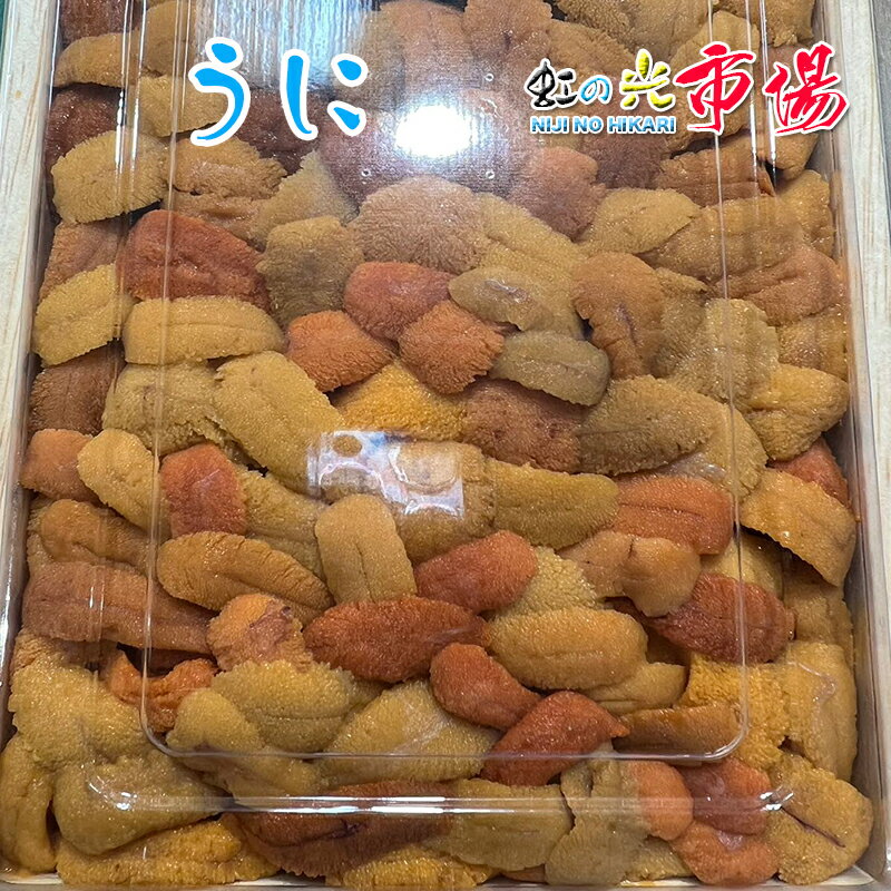 根室 生ウニ 約 220〜250g うに 北海道産 うに丼 海鮮丼 御中元 お中元 御祝 高級 海鮮 魚 魚介類 ウニ 人気 生うに 2p