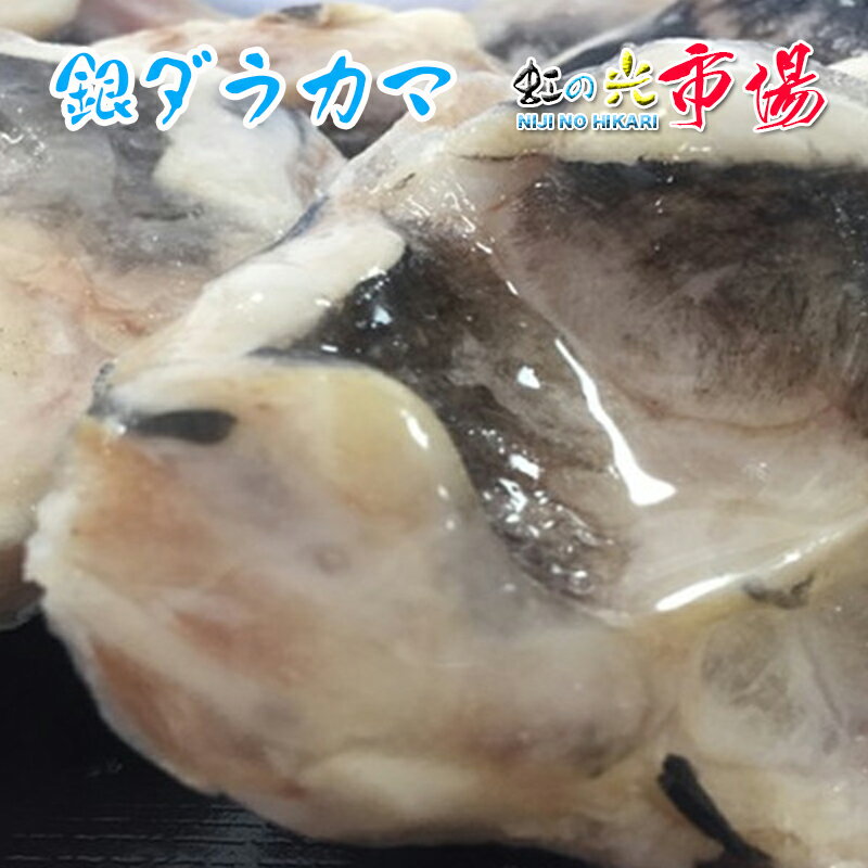 業務用 高級魚 銀ダラ カマ 10kg (1個200〜300g) 稀少