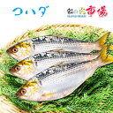 コハダ(小鰭)500g (1尾 約50~80g)コノシロ シンコ 高級魚 甘酢 郷土料理 揚げ物や焼き物 煮付けなど 正月や祝い