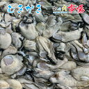 名称 生むき 牡蠣 内容量 5kg 産地名 三重県・広島県 保存方法 冷蔵 商品詳細 生食用のカキは、食中毒の菌を取り除くために、紫外線殺菌装置で殺菌した海水に2～3日間ほど入れられ、ほぼ絶食状態となり身が痩せた状態になります。 加熱用のカキは殺菌の必要が無く(加熱用のため)とれたての新鮮状態のまますぐに出荷されるので、身はプリプリのまま！ カキフライ・カキ鍋・カキソテーなど、レシピは沢山ありますが、塩ゆでで醤油につけて食べるのがおすすめの食べ方です。 配送方法 ヤマト運輸のクール便※こちらの商品は冷蔵便での発送となります。 冷凍商品と同梱出来ませんので、ご了承お願い致します。 賞味期限 冷蔵保存で2日以内にお召し上がりください。 備　考 ※写真はイメージです。計量致しますので、実際の商品の見た目とは多少異なる場合が御座います。 ※日時指定の場合、天候（時化などによる入荷の遅れ）・配送上の都合により指定された通りにお届けできない場合がありますので、基本は日付指定はお受けできません。ご理解下さい。 上記をご了承頂ける方のみ日付指定をお受け致します。その場合、指定は10日以内でお願い致します。 ※日付指定優先の場合、入荷状況により予告なくメーカーが変更になる場合が御座います。 その場合発送時、メールでご連絡させて頂きます。